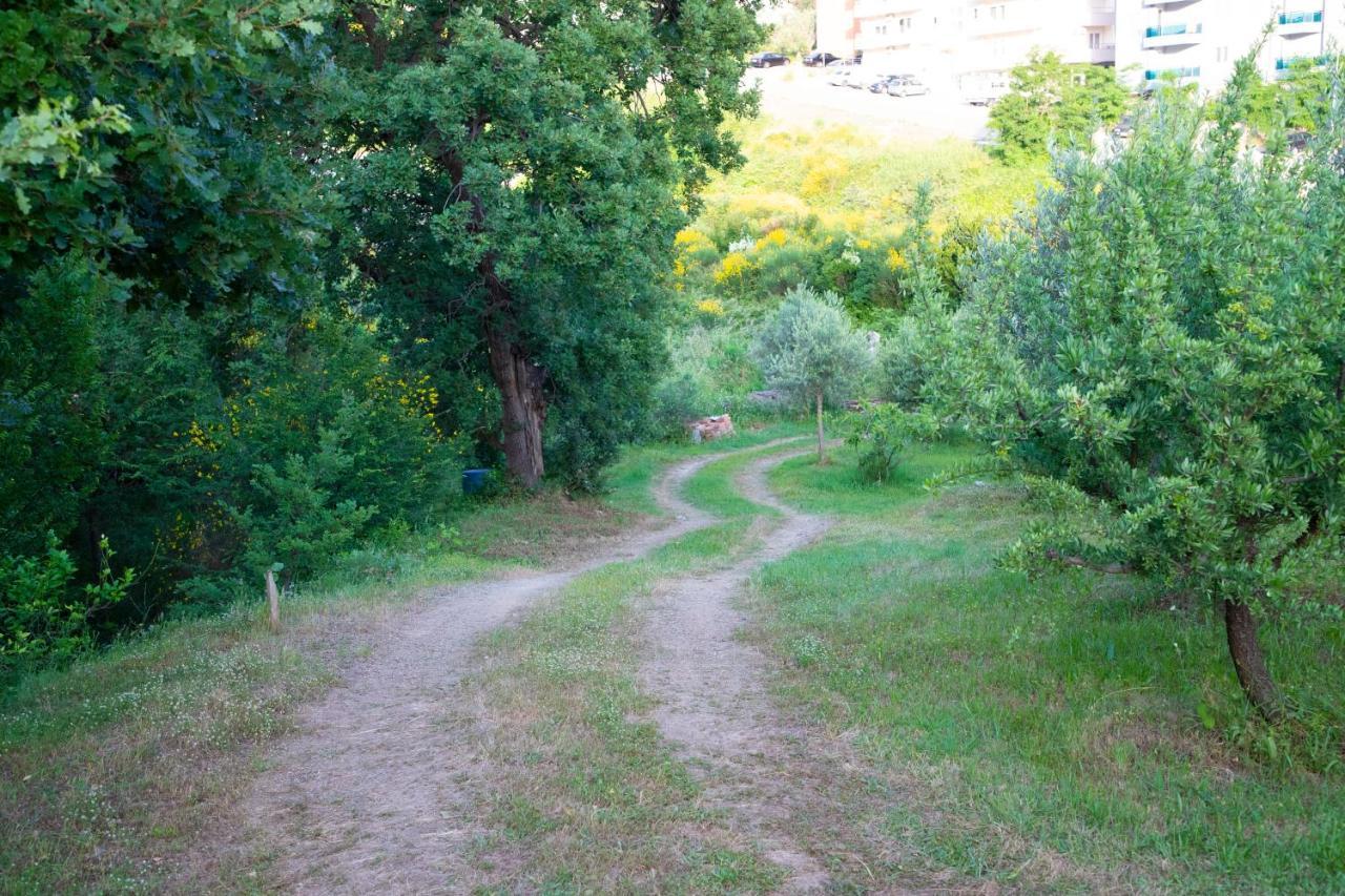 4 Becic Budva